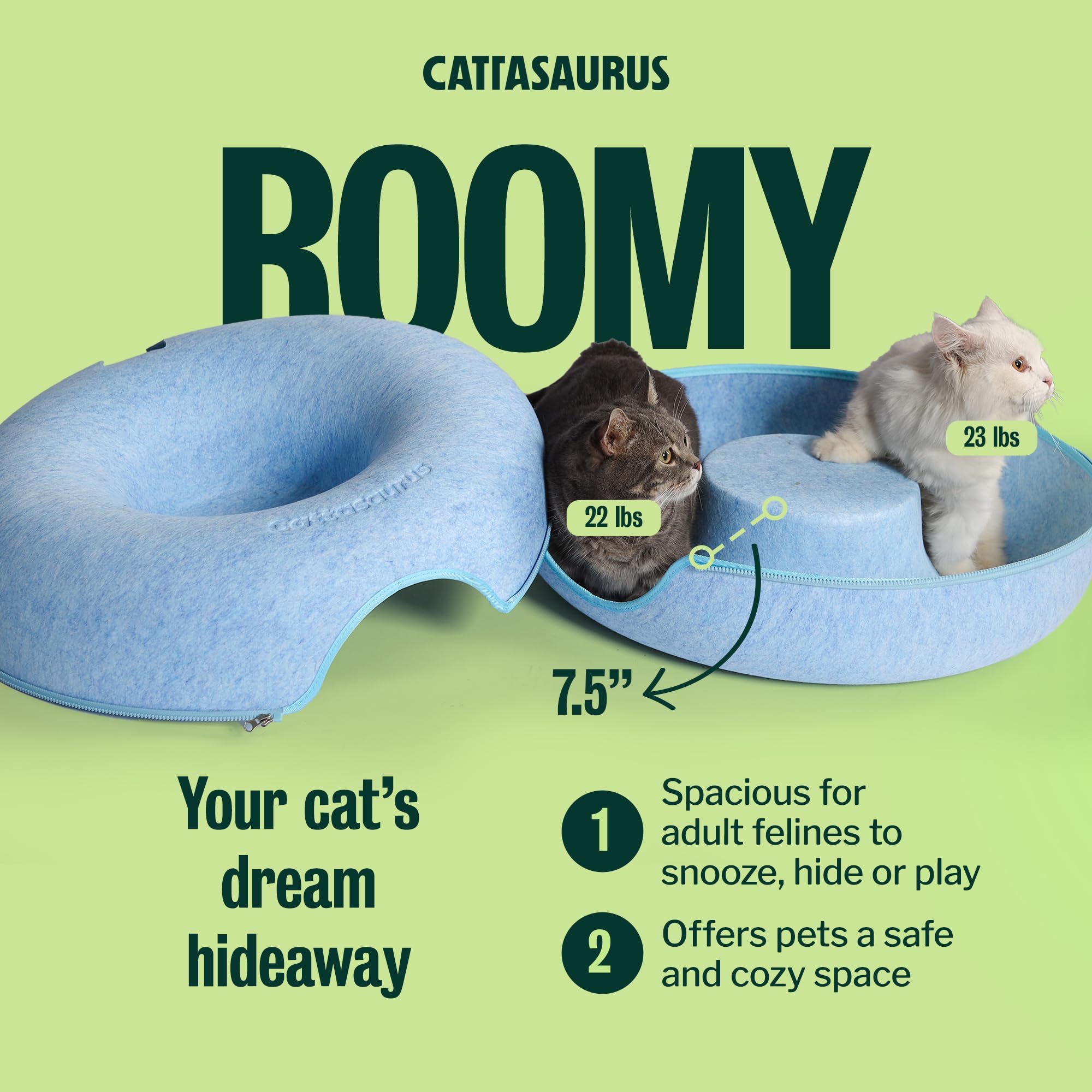 Cattasaurus chat regardant par la lucarne, stimulation ludique garantie