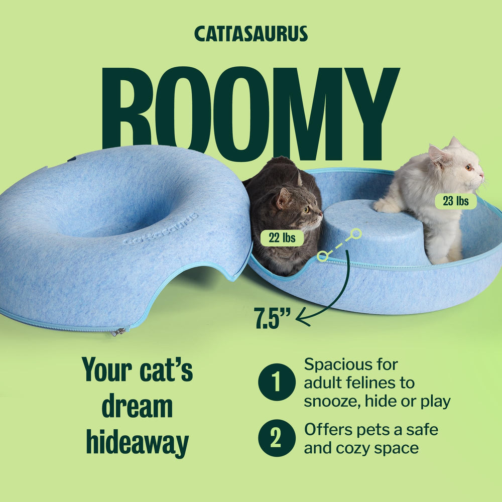 Cattasaurus chat regardant par la lucarne, stimulation ludique garantie