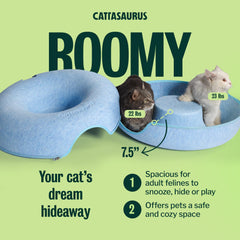 Cattasaurus chat regardant par la lucarne, stimulation ludique garantie