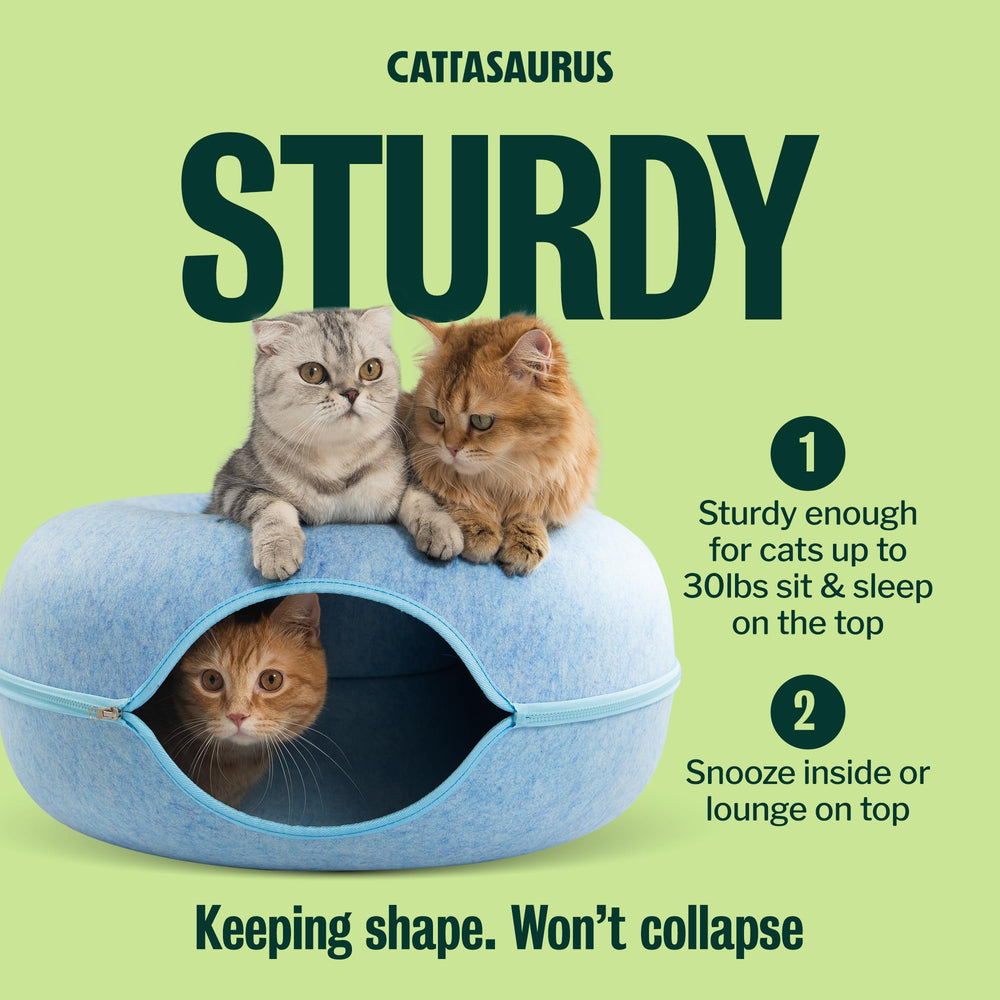 Cattasaurus chat allongé sur le donut supérieur, repos moelleux assuré