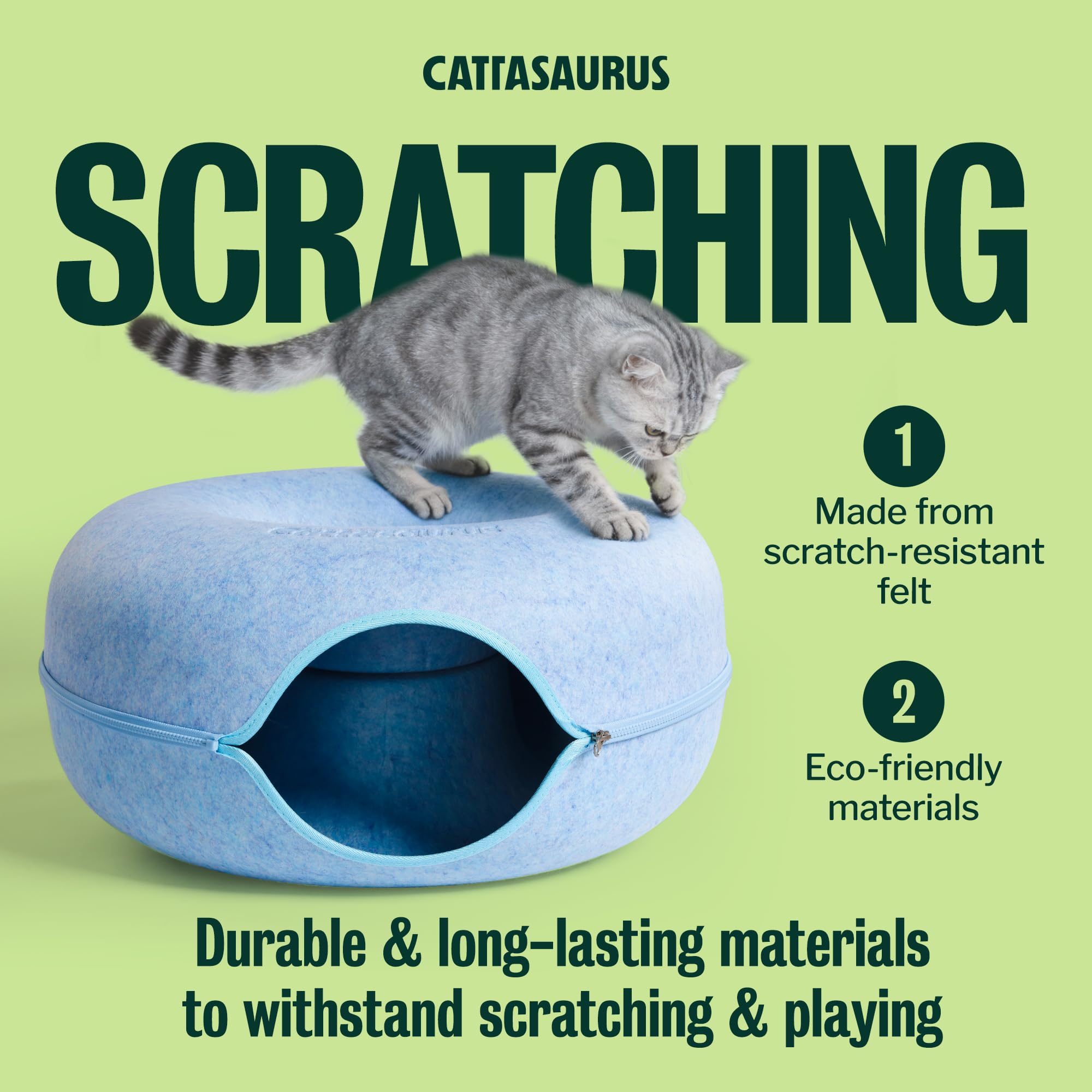 Cattasaurus comparaison taille avec un chat, espace adapté pour grands chats