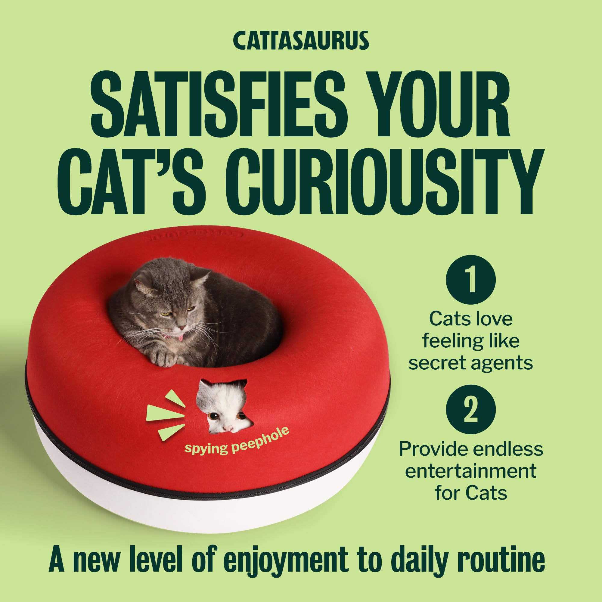Cattasaurus deux chats jouant montrant accueil pour multi-animaux