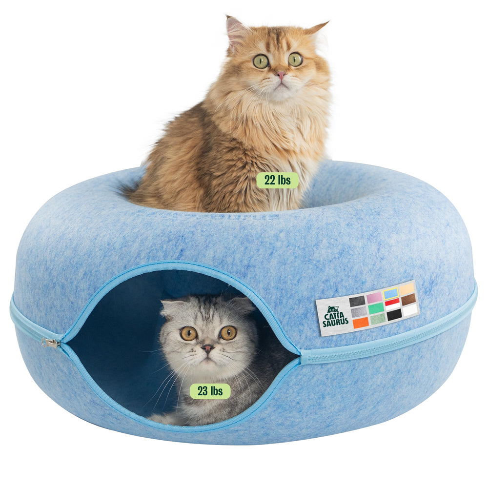 Cattasaurus vue avant du lit tunnel bleu, protection et confort immédiat