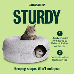 Cattasaurus fenêtre peekaboo en usage stimulant le jeu