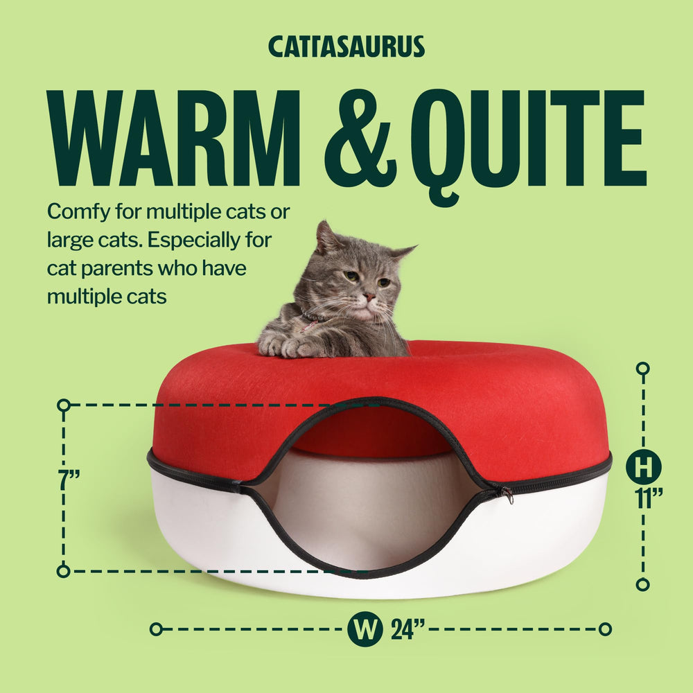 Cattasaurus intérieur du tunnel illustrant espace de jeu sécurisé