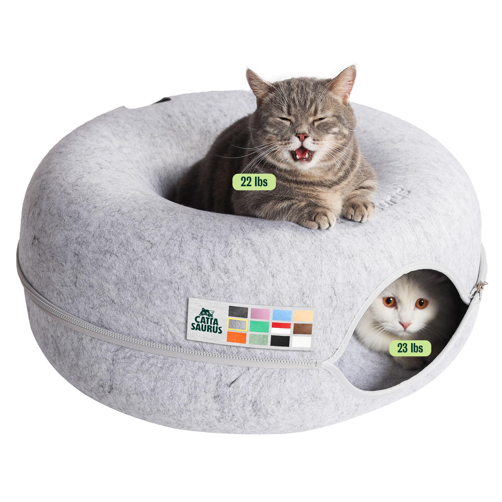 Cattasaurus lit donut face avant montrant confort et espace