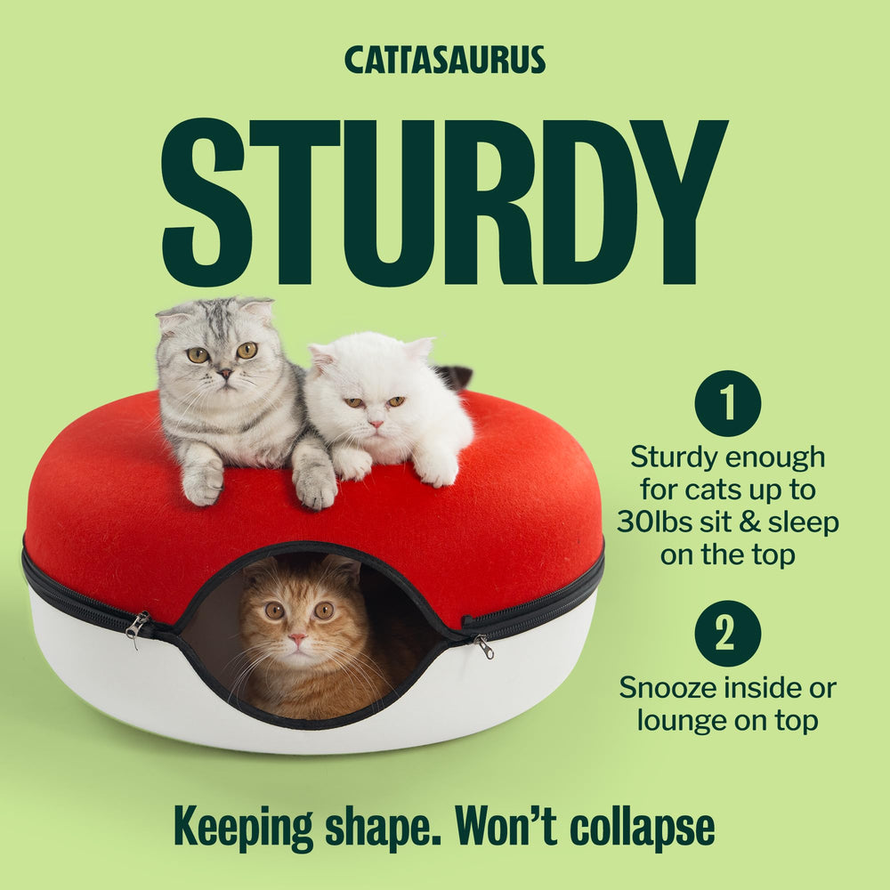 Cattasaurus tunnel détachable facilitant le nettoyage