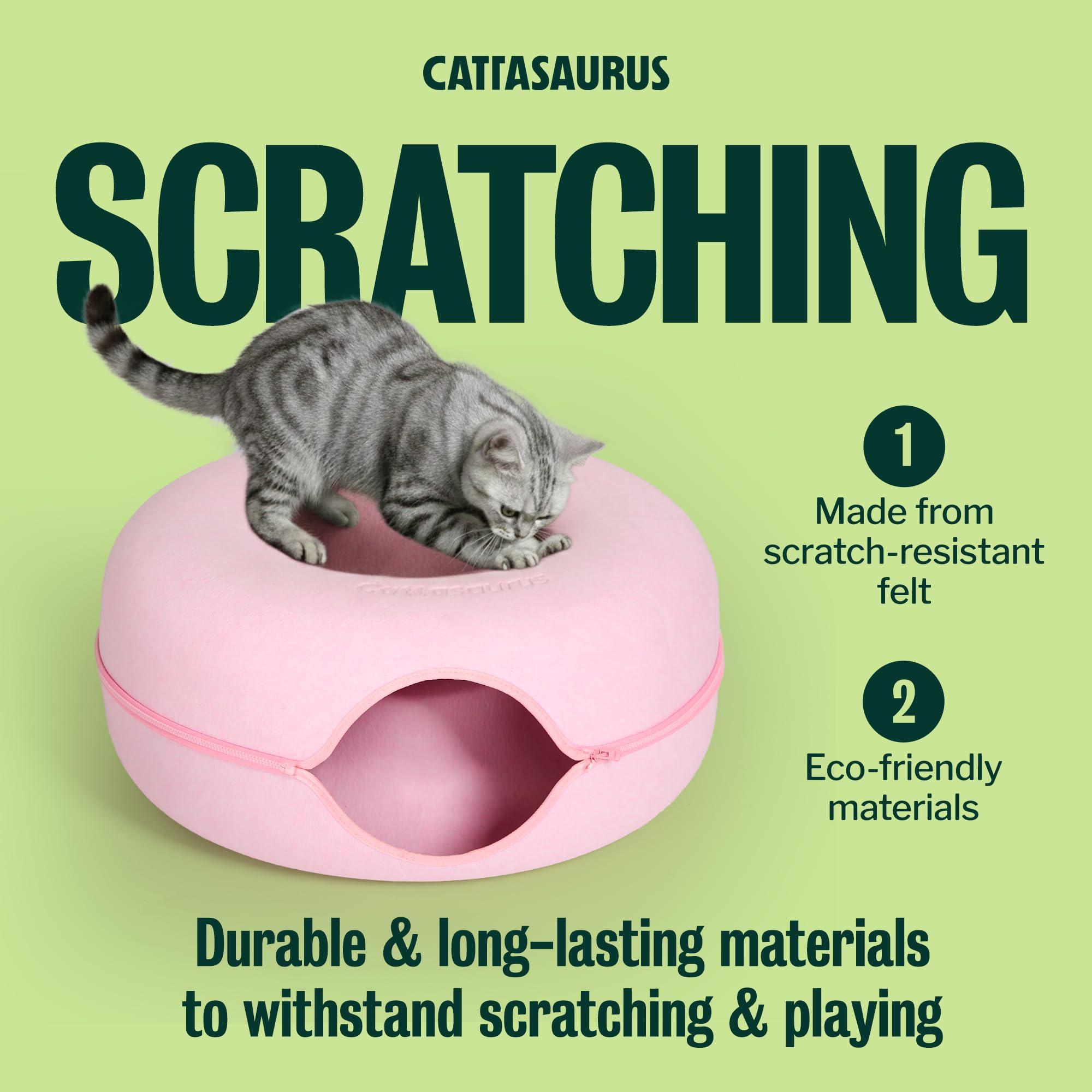 Cattasaurus pièces détachées montrant nettoyage et entretien facile