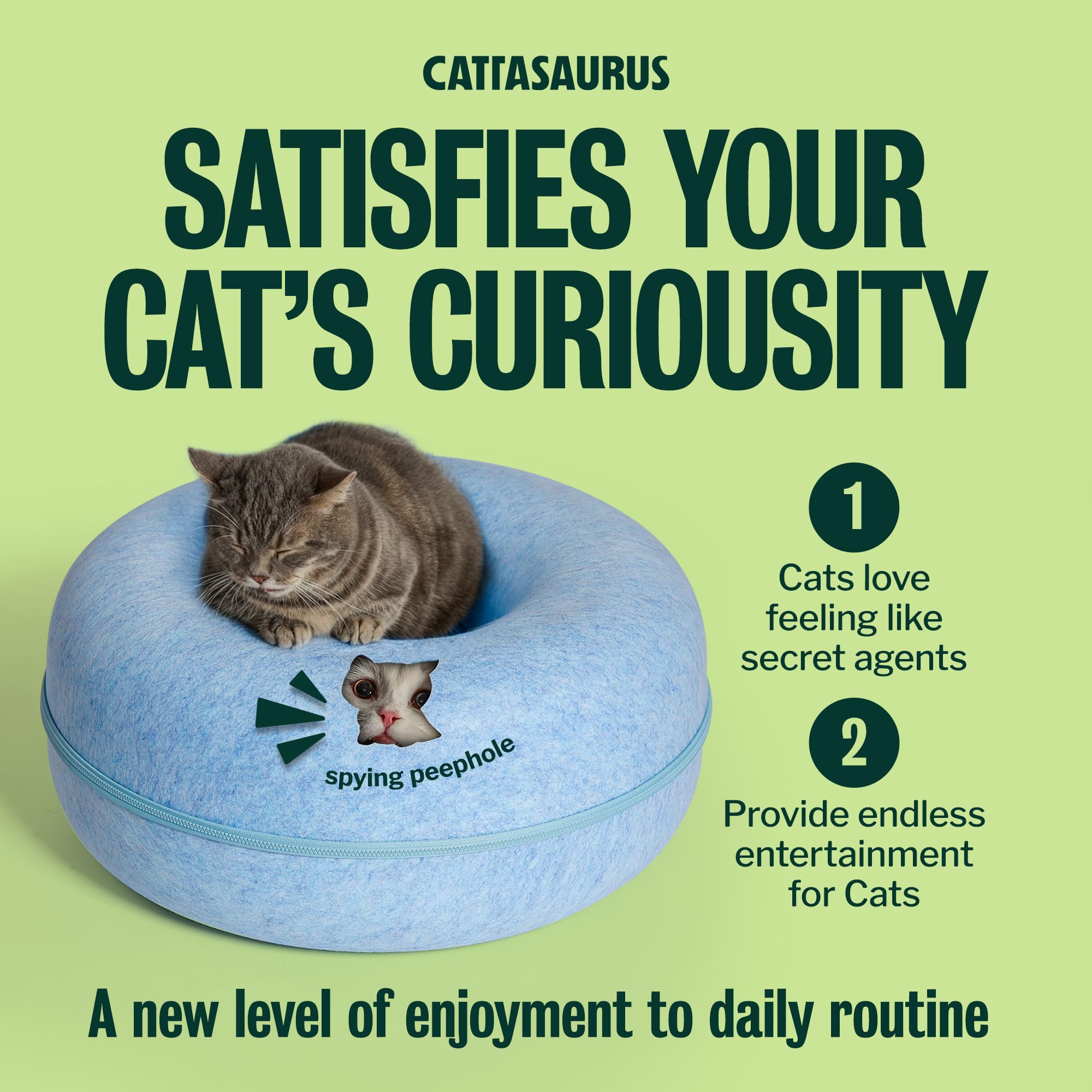 Cattasaurus compartiment creux pour rangement, solution pratique intégrée