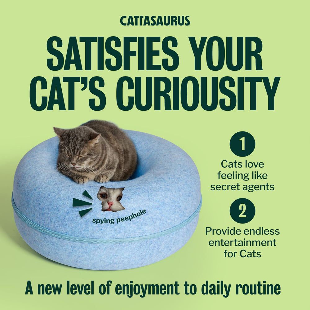 Cattasaurus compartiment creux pour rangement, solution pratique intégrée