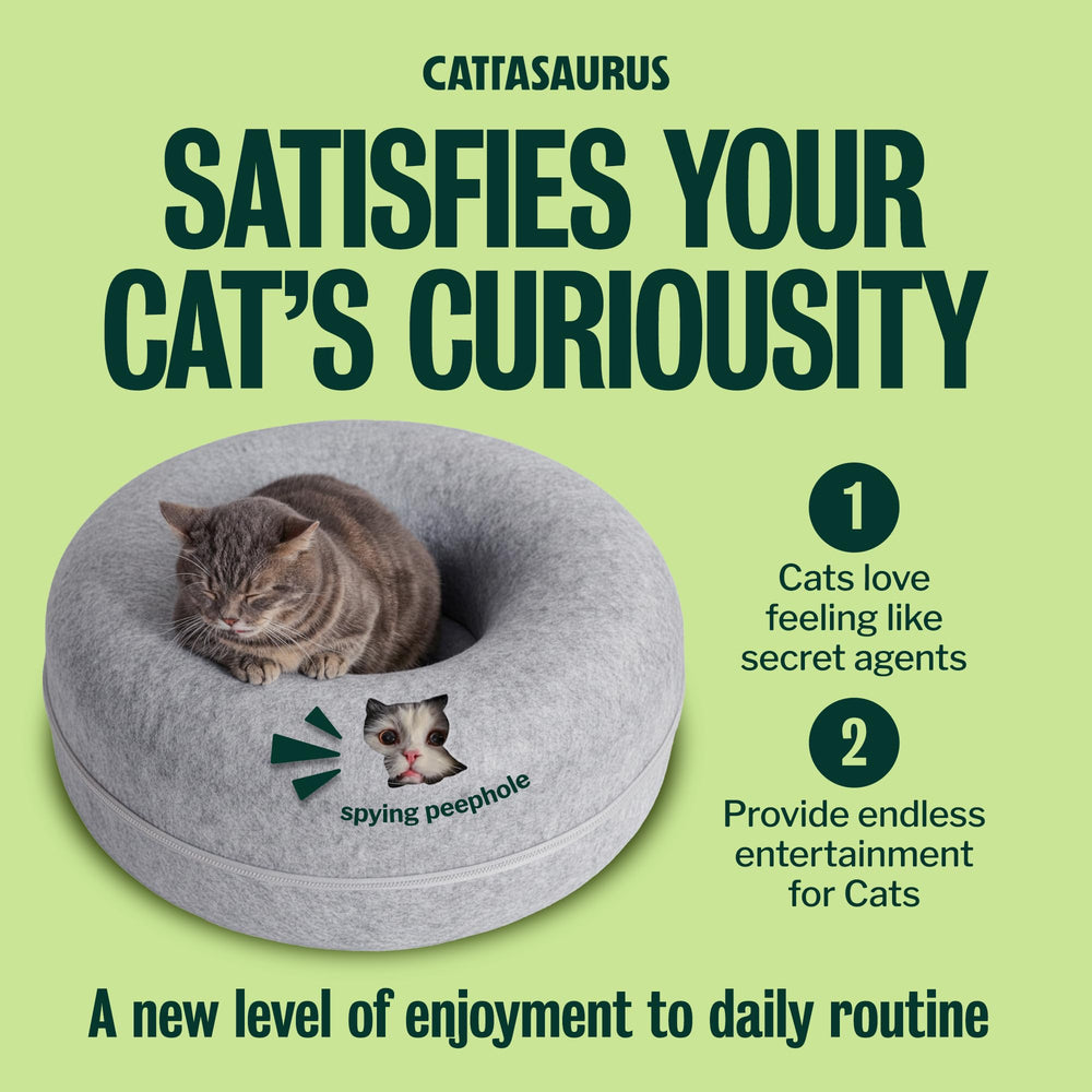 Cattasaurus tunnel détachable détail facilitant le nettoyage