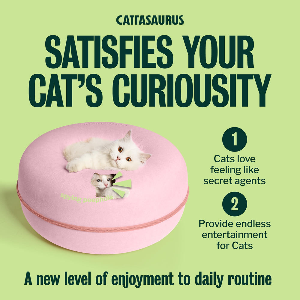 Cattasaurus gamme de couleurs assorties pour décor et harmonie