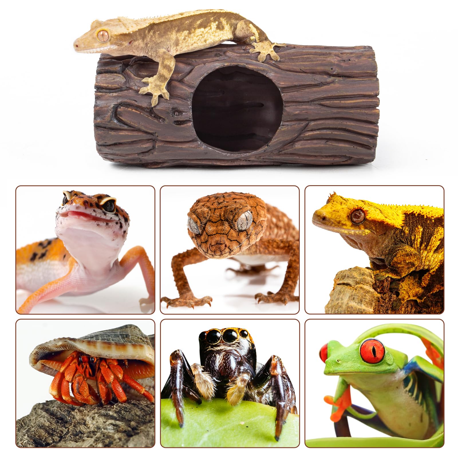 CAVACHEW cachette en usage avec gecko pour confort et cachette