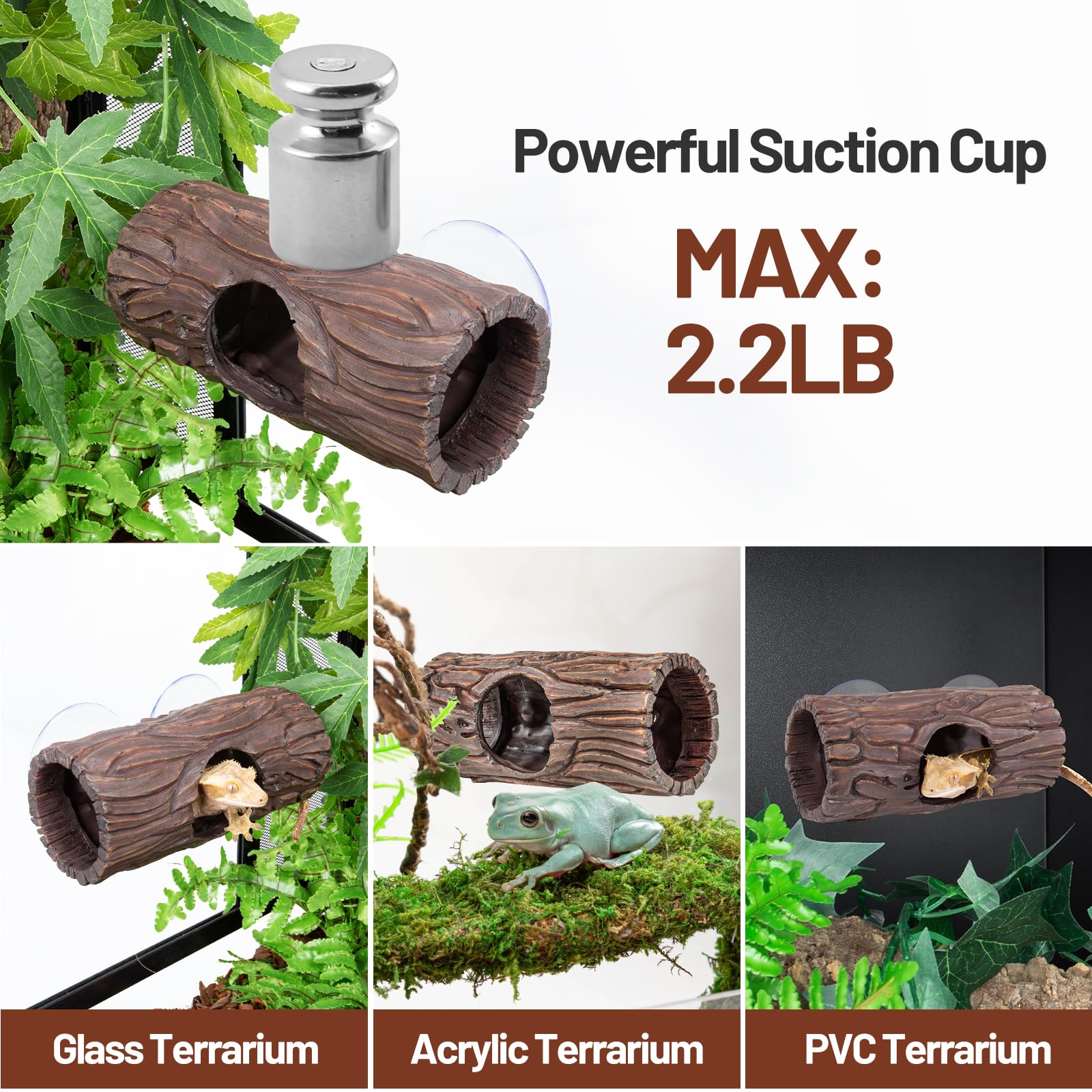 CAVACHEW ventouse détail montrant fixation solide et réutilisable