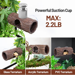 CAVACHEW ventouse détail montrant fixation solide et réutilisable
