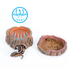 CAVACHEW coupelle en terre cuite remplie, maintien d'une zone humide