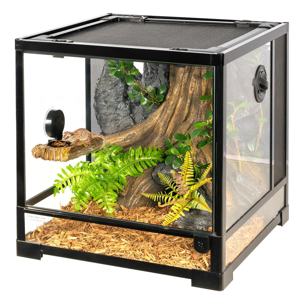 CAVACHEW comparaison d'échelle montrant taille et adaptation au terrarium