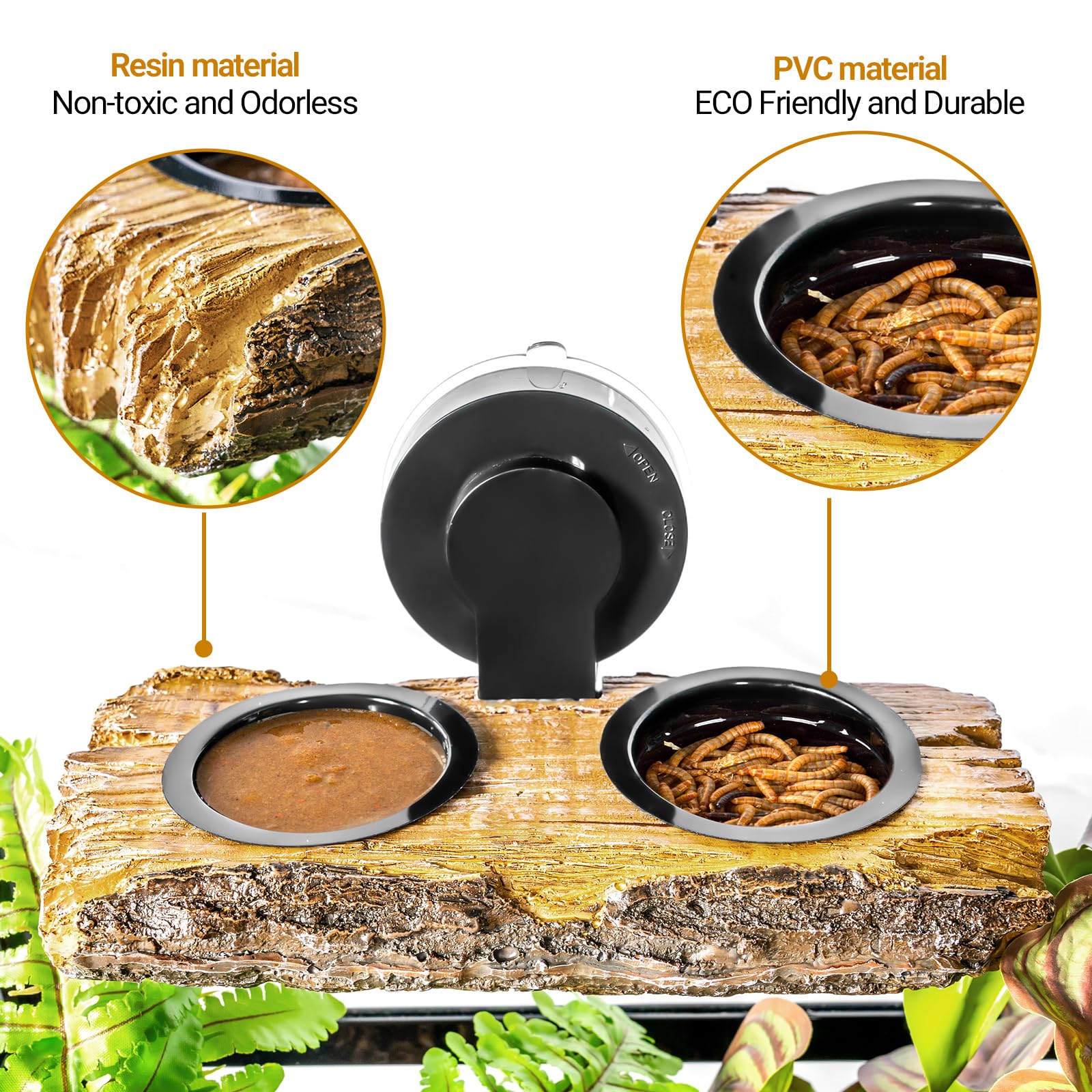 CAVACHEW gecko perché sur la plateforme pour repos et alimentation facile