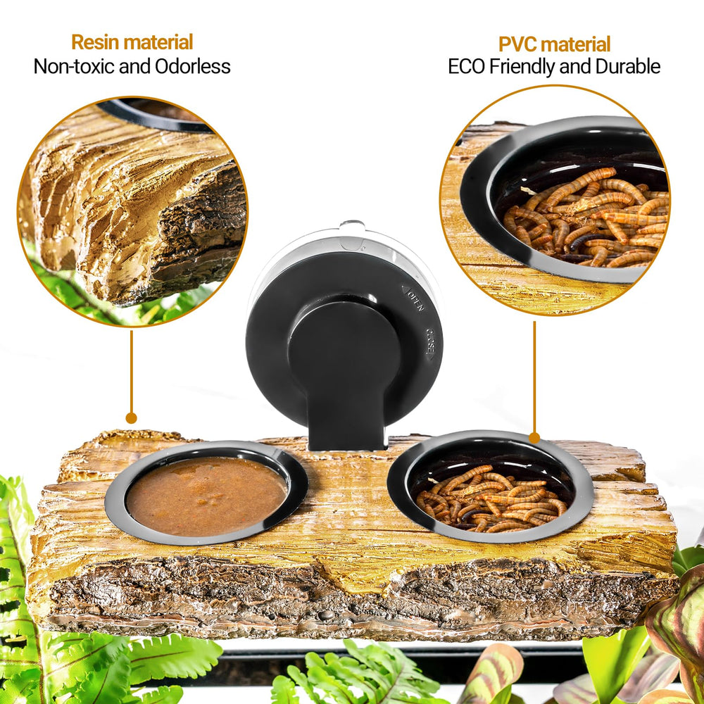 CAVACHEW gecko perché sur la plateforme pour repos et alimentation facile