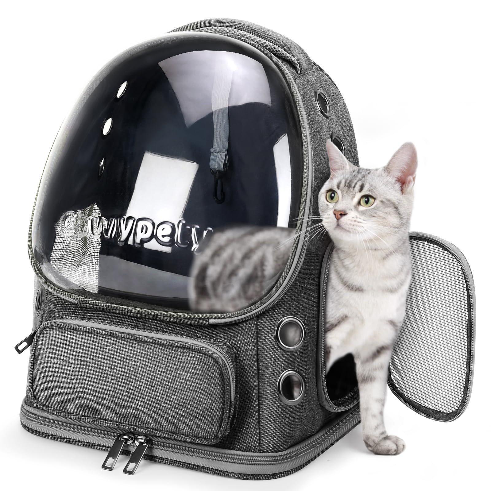 Cawypety coque bulle avant offrant visibilité et confort pour le chat