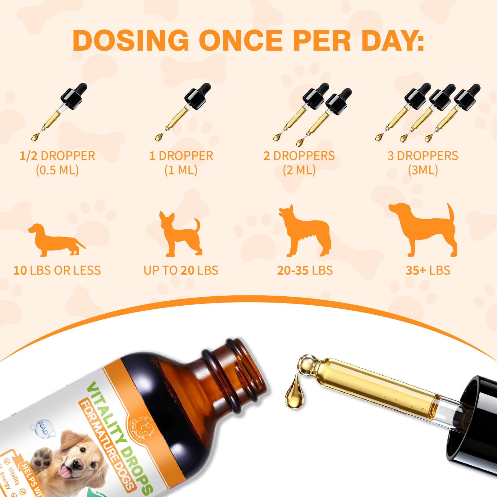 Cdoagtheath chien senior actif jouant, illustrant regain d'énergie possible