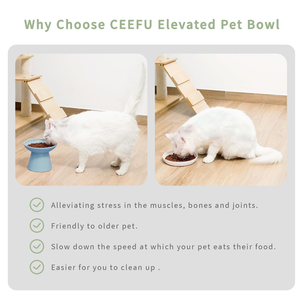 CEEFU comparaison taille bol montre hauteur adaptée pour chat