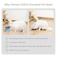 CEEFU comparaison taille bol montre hauteur adaptée pour chat