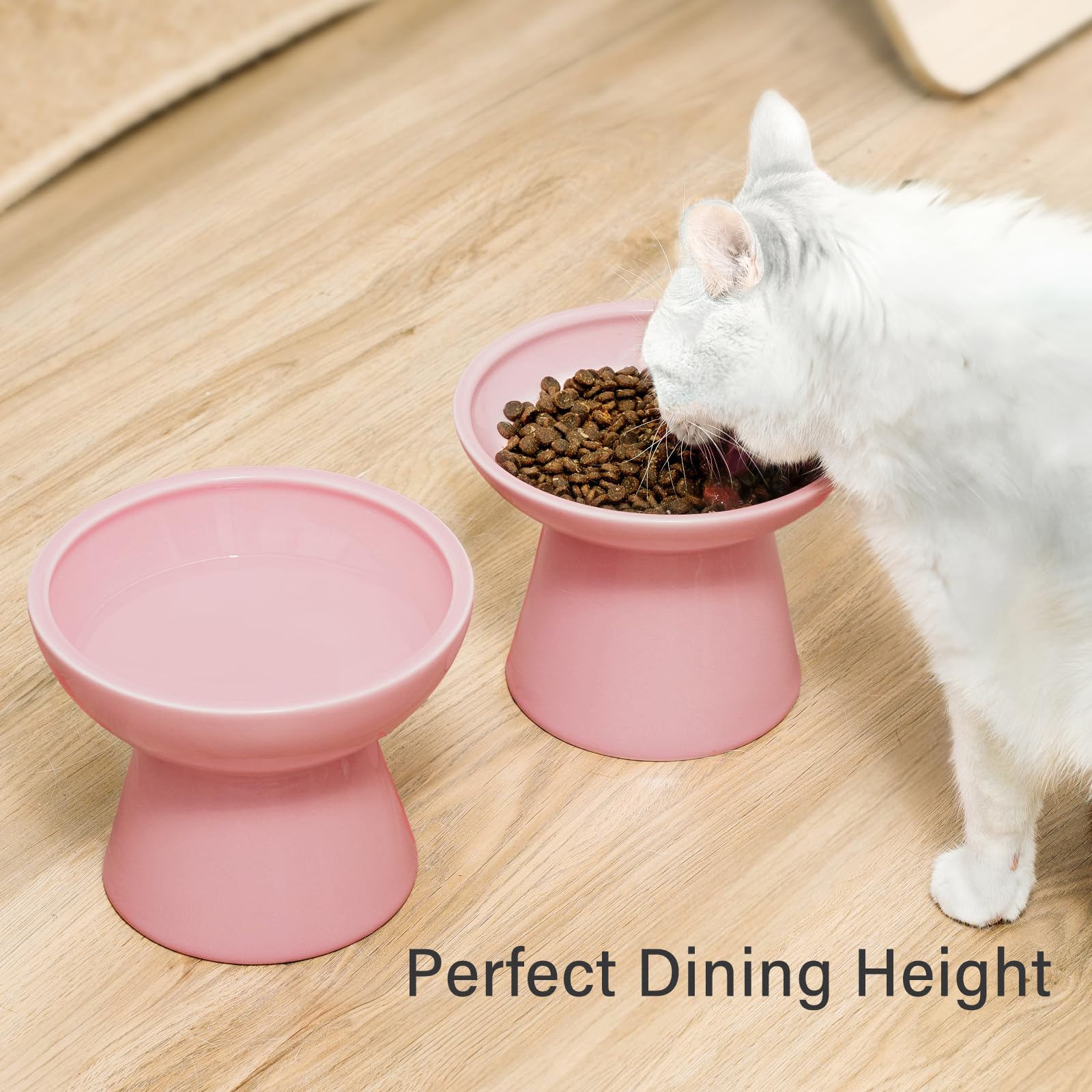 CEEFU gamelles en usage avec chat pour confort de repas