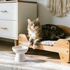 CEEFU chat buvant confortablement, posture naturelle améliorée