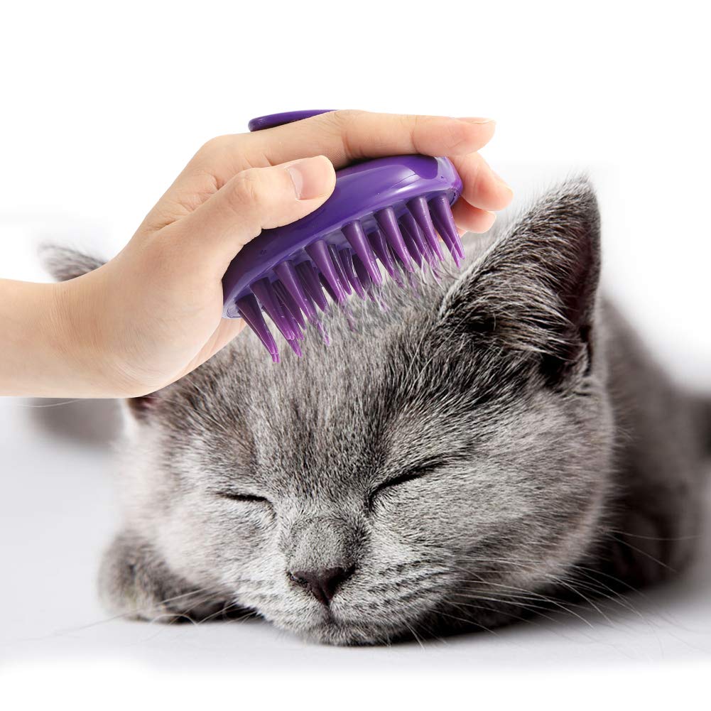 CeleMoon brosse face avant montrant la forme compacte et bénéfice réduction des poils