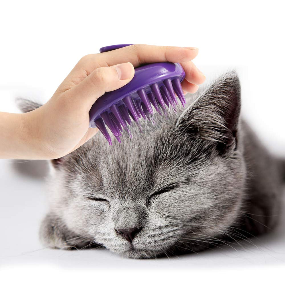 CeleMoon brosse face avant montrant la forme compacte et bénéfice réduction des poils