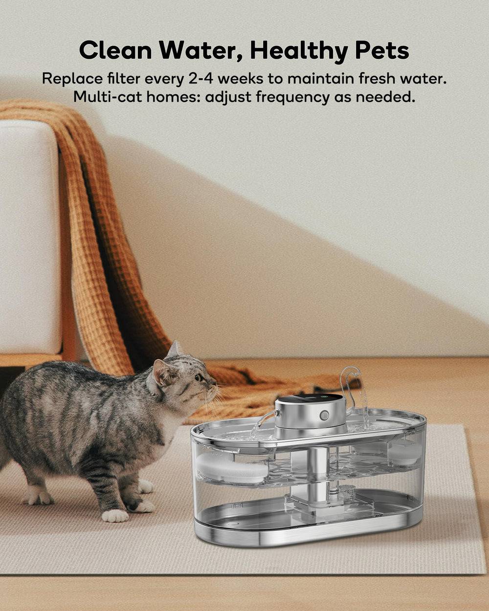 CENGCEN fontaine WF230 avec filtres visibles, eau plus propre pour chats