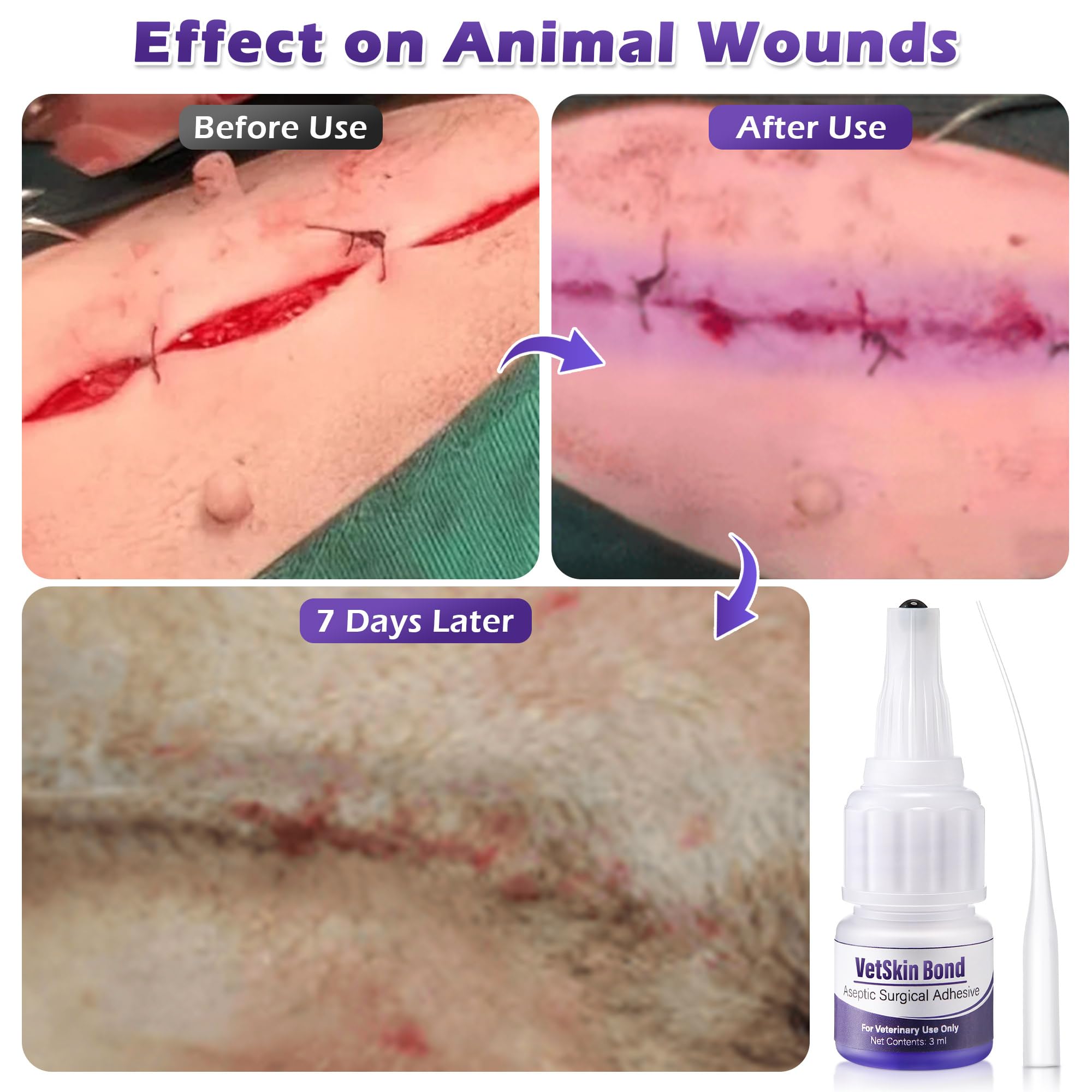 Ceoighe application sur patte de chien pour protection rapide