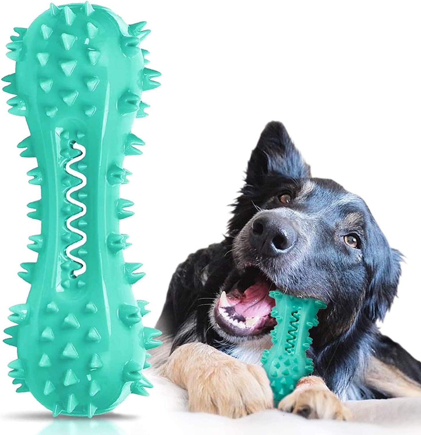 CERISURIO packaging du jouet brosse à dents chien, présentation claire et utile