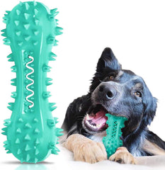 CERISURIO packaging du jouet brosse à dents chien, présentation claire et utile