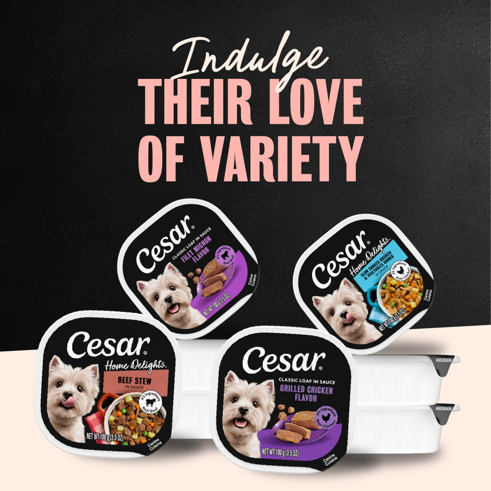 Cesar barquettes rangées en cuisine montrant gain de place et stock