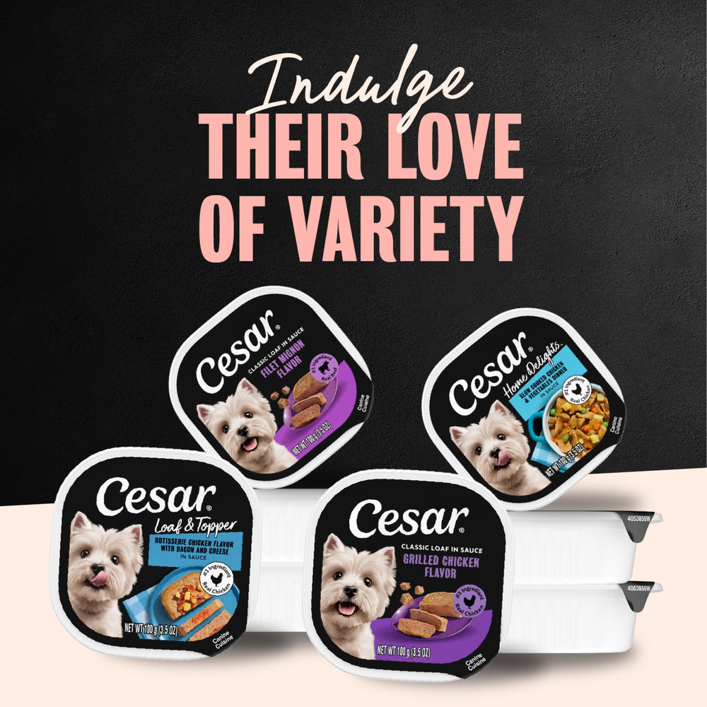 Cesar utilisé comme topping sur croquettes, ajoute saveur au repas