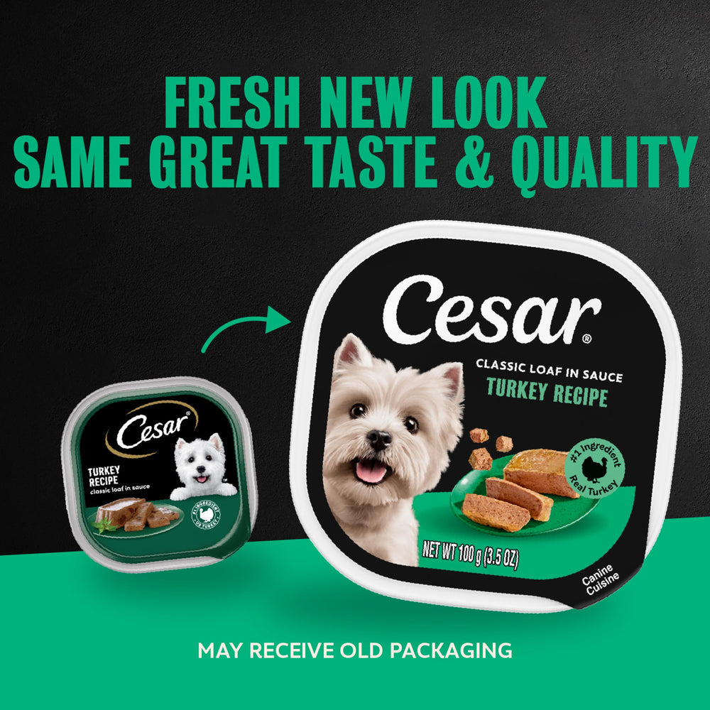 Cesar gros plan sur la texture pâte tendre et sauce savoureuse bénéfique appétence
