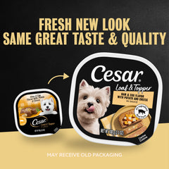 Cesar gros plan texture pâté révélant une viande tendre appétissante