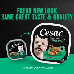 Cesar gros plan sur la texture pâte tendre et sauce savoureuse bénéfique appétence