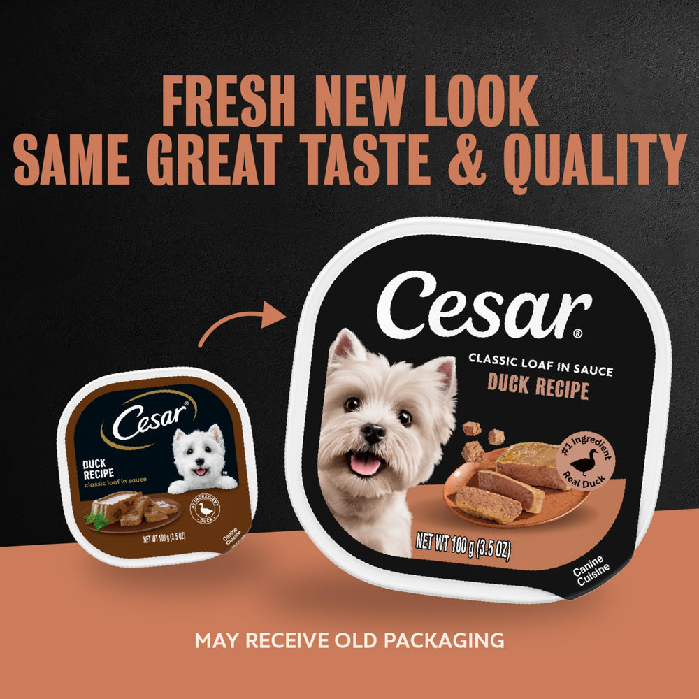 Cesar texture du pâté en gros plan, tendreté appétissante