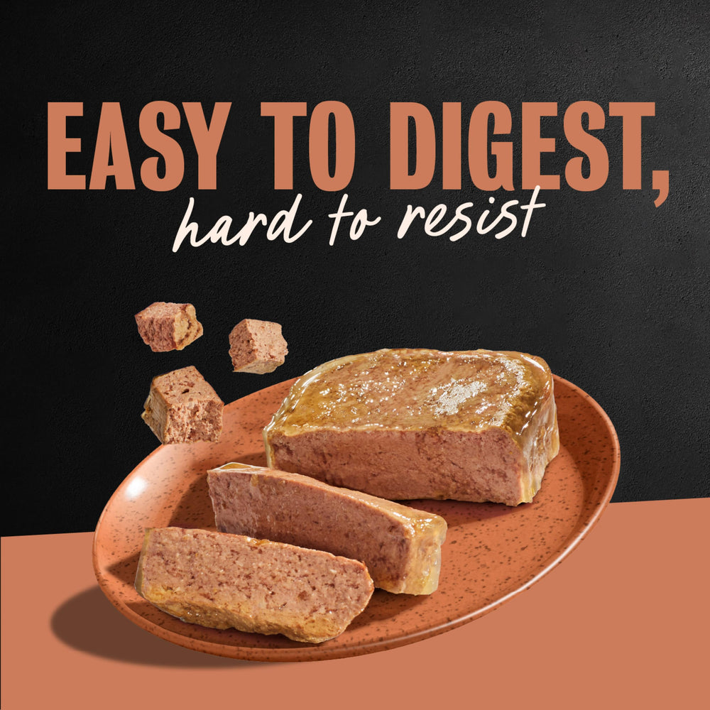 Cesar topping versé sur croquettes, améliore l’appétence