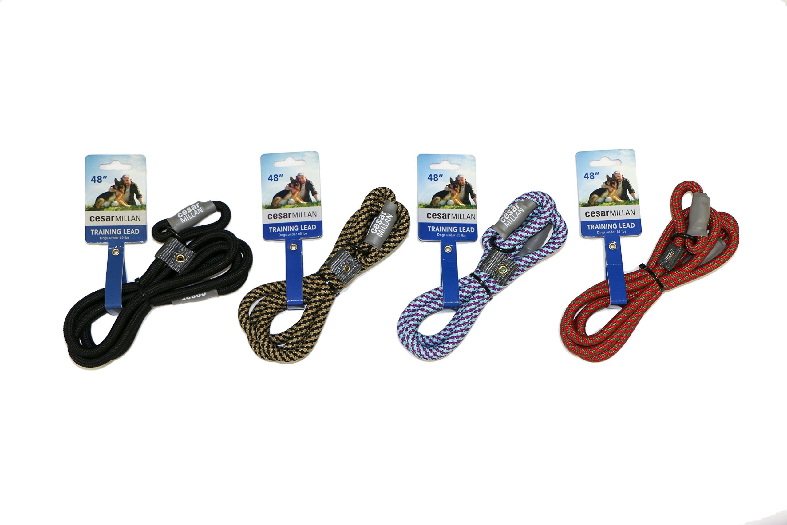 Cesar Millan laisse rangée parmi accessoires pour organisation pratique