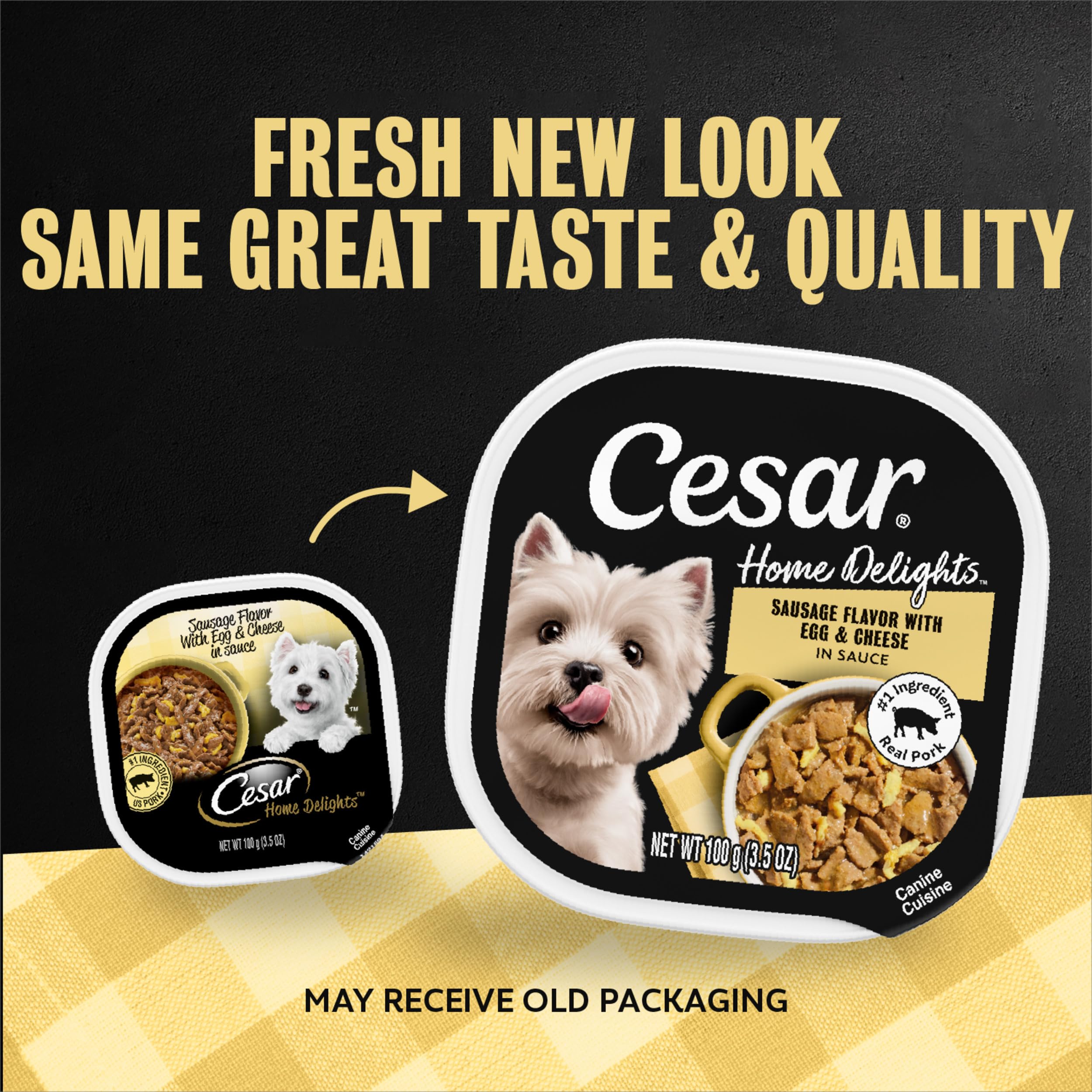 Cesar pack de 24 barquettes pour stocker repas complets facilement