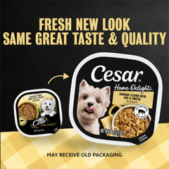 Cesar pack de 24 barquettes pour stocker repas complets facilement