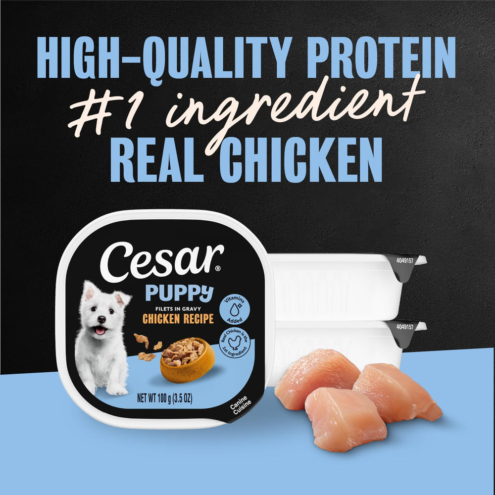 Cesar portion servie dans une cuve montrant quantité idéale pour chiot