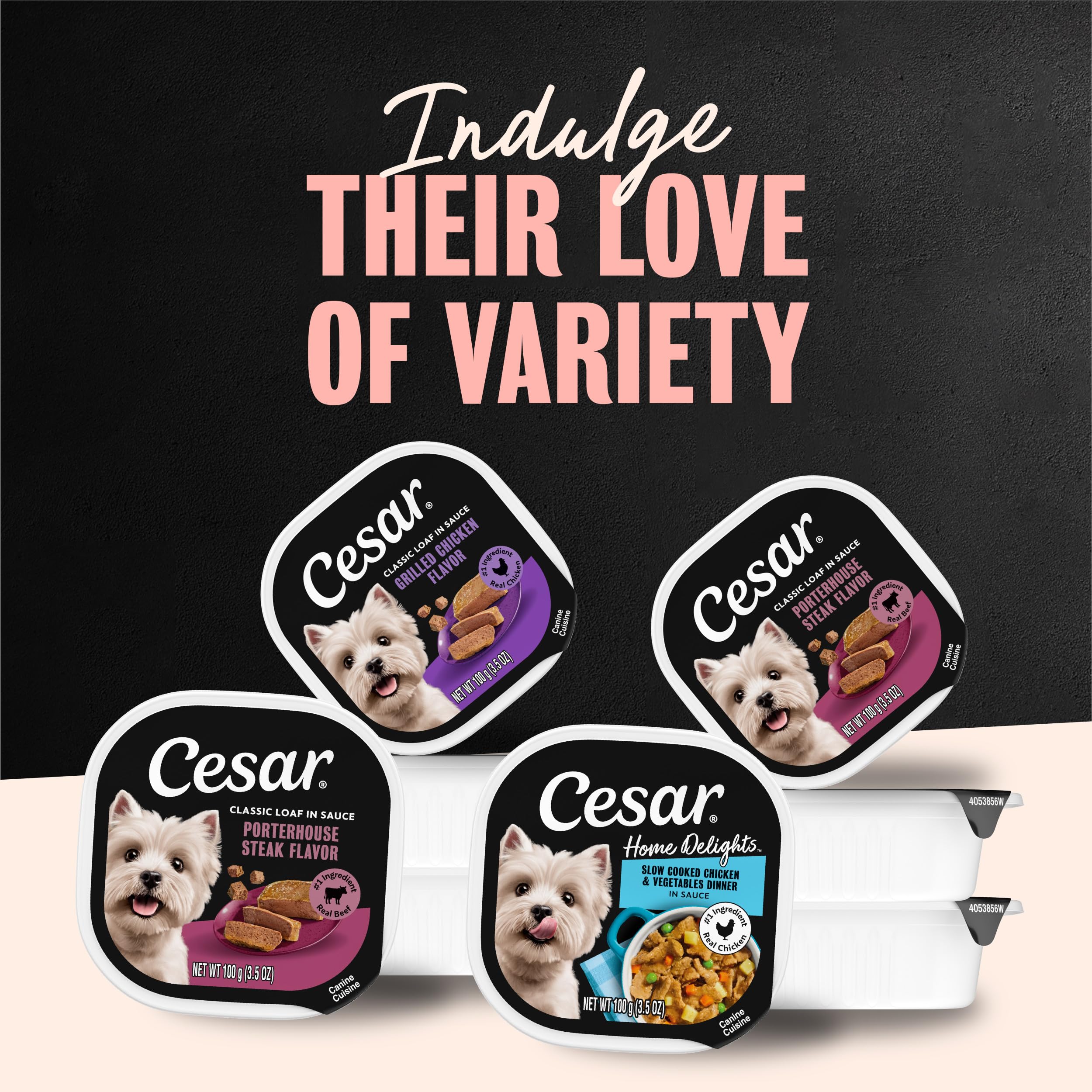 Cesar versé sur croquettes pour augmenter attractivité et humidité