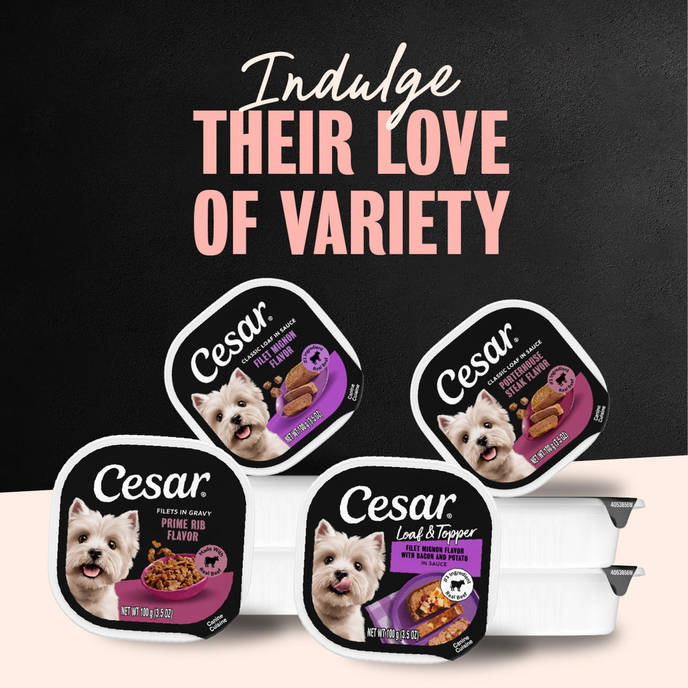Cesar tranche de viande lente cuisson pour saveur intense