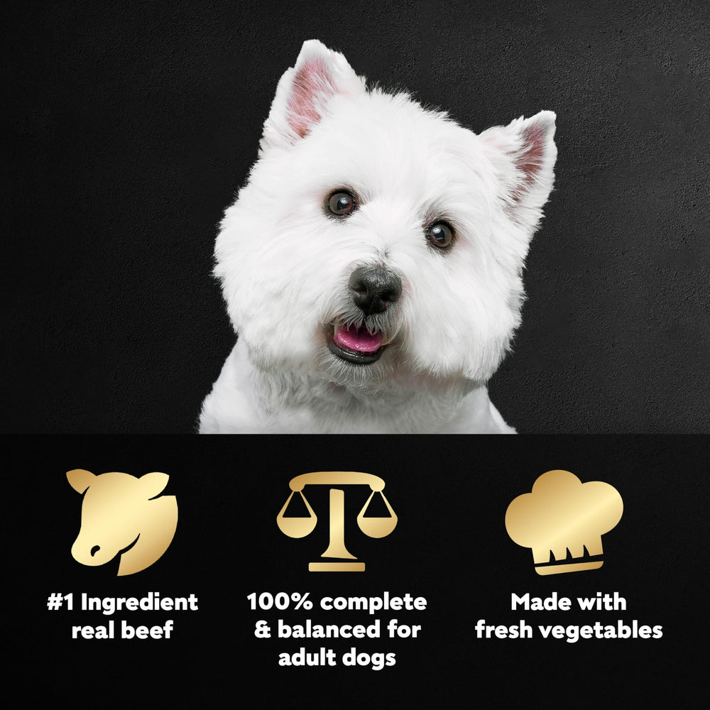 Cesar texture gros plan bœuf tendre et légumes, appétence et digestibilité