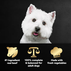 Cesar texture gros plan bœuf tendre et légumes, appétence et digestibilité
